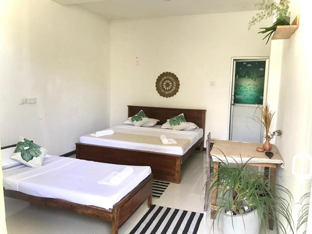 Hotel Bananas Mirissa Zewnętrze zdjęcie