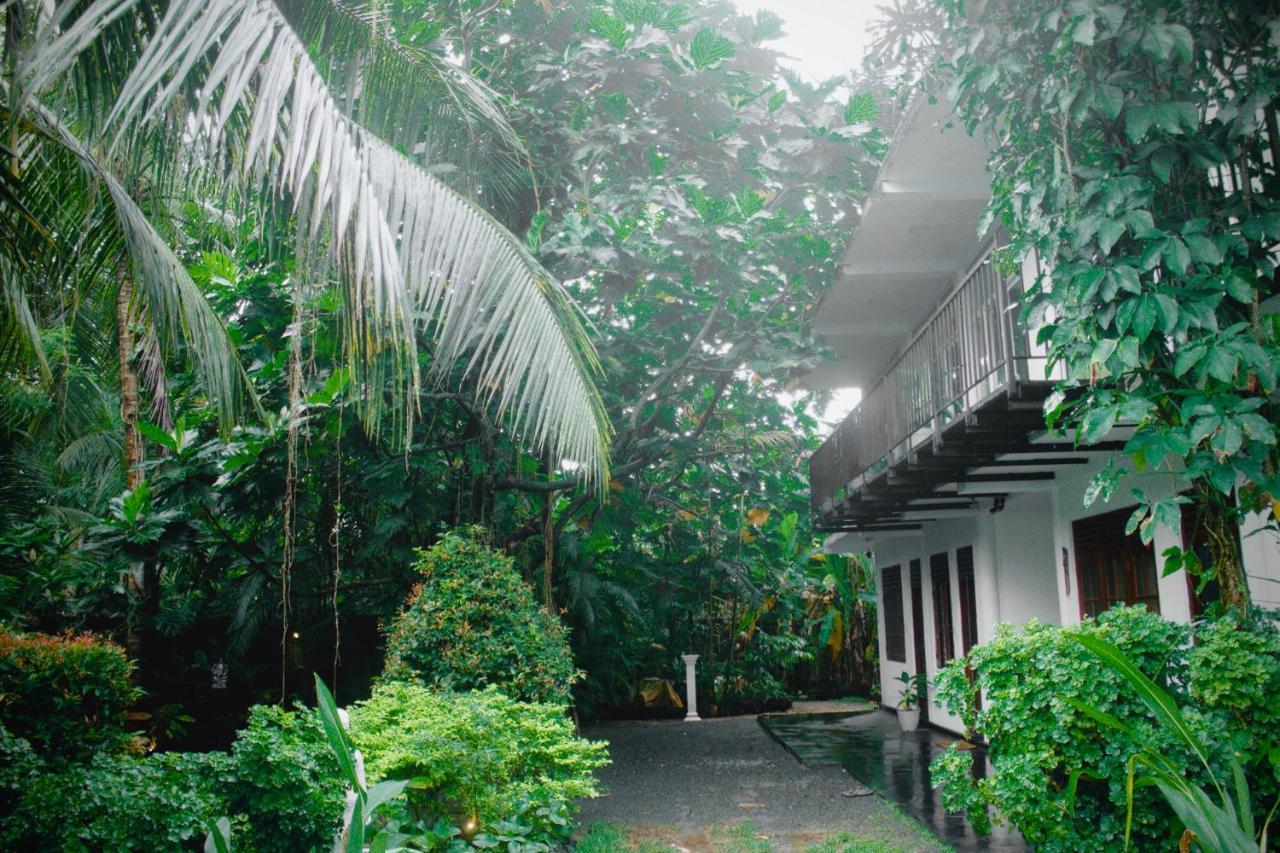 Hotel Bananas Mirissa Zewnętrze zdjęcie